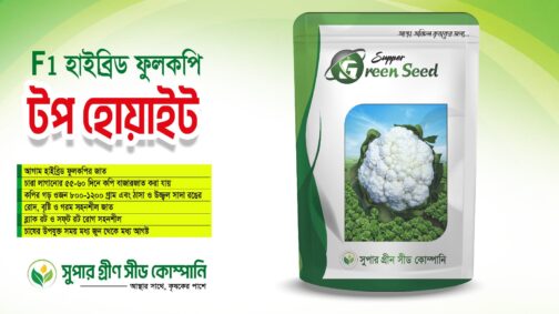 F1 হাইব্রিড ফুলকপি টপ হোয়াইট