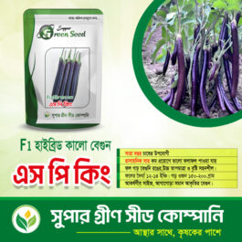 F1 হাইব্রিড কালো বেগুন এস পি কিং