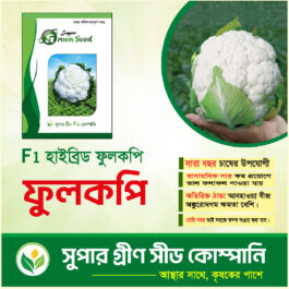 F1 হাইব্রিড ফুলকপি টপ হোয়াইট