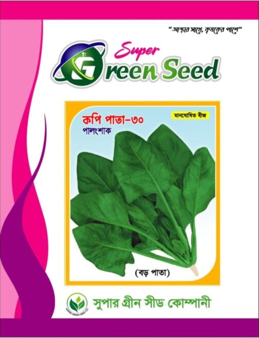 কপি পাতা -৩০