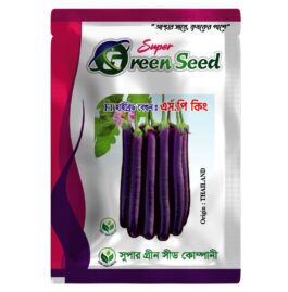 F1 হাইব্রিড বেগুন