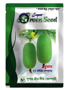 F1 হাইব্রিড চাল কুমড়া : তুফান।