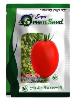 F1 হাইব্রিড টমেটো : এস পি টি ৭৪